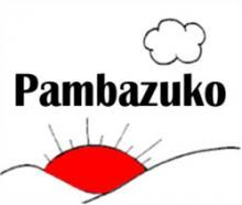 Pambazuko: a radio series to discuss health & human rights