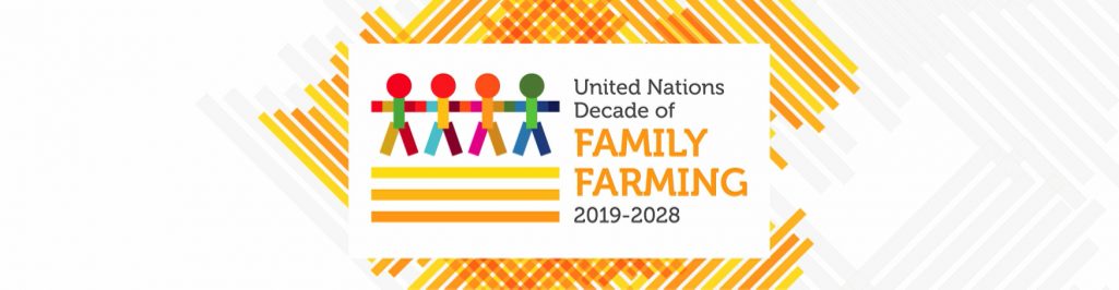 Launch of the UN’s Decade of Family Farming to unleash family farmers’ full potential