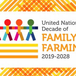 Launch of the UN’s Decade of Family Farming to unleash family farmers’ full potential