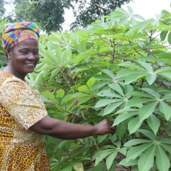 Mme KOUAME Akissi, un modèle de leader agricole en milieu rural