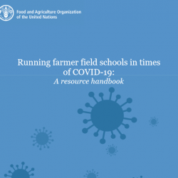 A resource handbook on running field schools in times of COVID-19