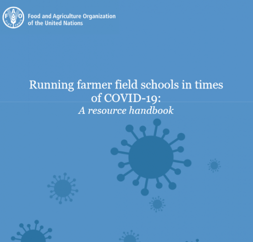 A resource handbook on running field schools in times of COVID-19