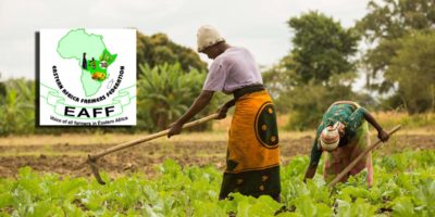 Eastern Africa Farmers Federation: Promoting agri-business for farmers in East Africa Eastern Africa Farmers Federation: Promoting agri-business for farmers in East Africa