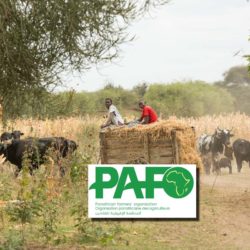PAFO: A Pan-African voice for farmers
