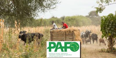 PAFO : La voix des agriculteurs Africains PAFO : La voix des agriculteurs Africains
