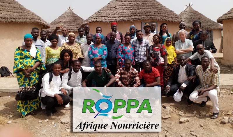 Le Réseau des Organisations Paysannes et des Producteurs Agricoles de l'Afrique de l'Ouest – ROPPA