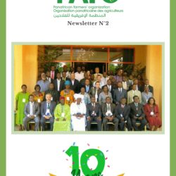 Lettre d'info de PAFO: Celebrons 10 ans