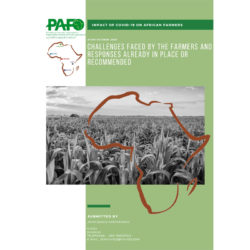 Impact of Covid-19 on African Farmers