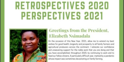 Retrospectives 2020, Perspectives 2021 Retrospectives 2020, Perspectives 2021