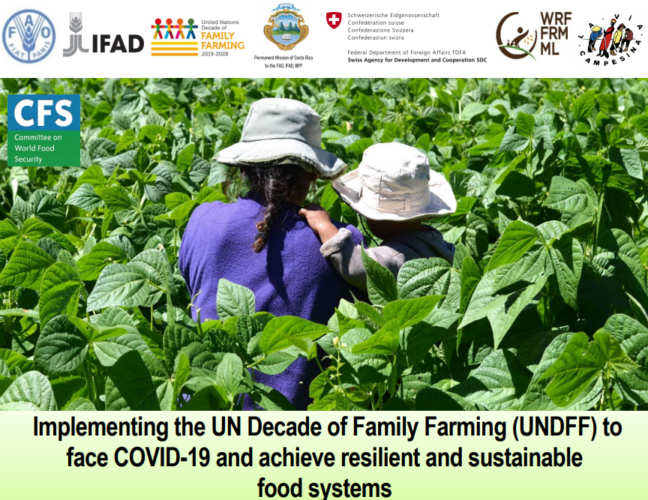 FAO to hold UNDFF Event on Resilient and Sustainable Food Systems
