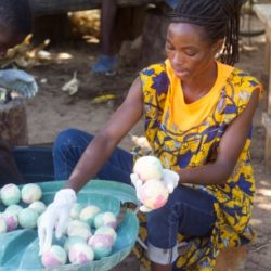 A young Ghanaian woman earning a living from shea products