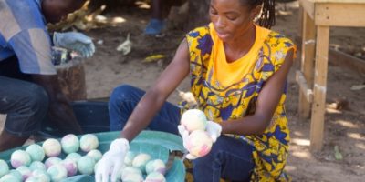 A young Ghanaian woman earning a living from shea products A young Ghanaian woman earning a living from shea products