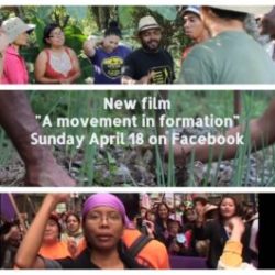 “A movement in formation” | Online Screening