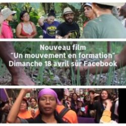 LVC présente sa nouvelle vidéo: “Un mouvement en formation” ce dimanche 18 avril 2021