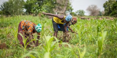 Des jeunes et des femmes se tournent vers les institutions financières pour la réalisation de leurs projets Des jeunes et des femmes se tournent vers les institutions financières pour la réalisation de leurs projets