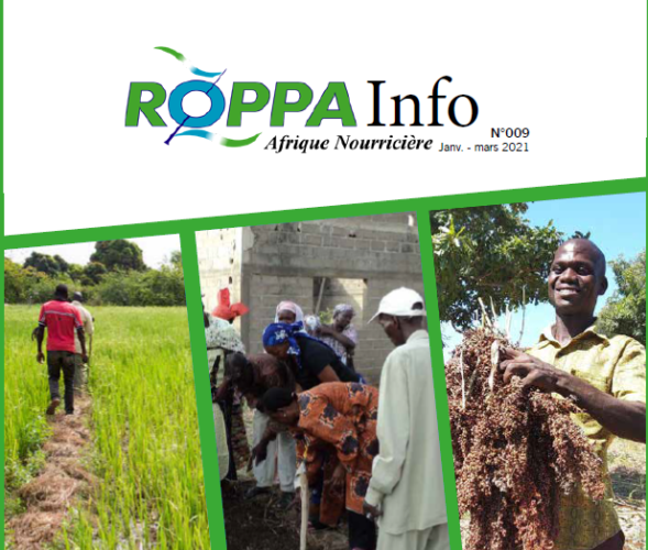 ROPPA INFO N ° 9 focuses on the United Nations Decade for Family Farming (UNDFF)