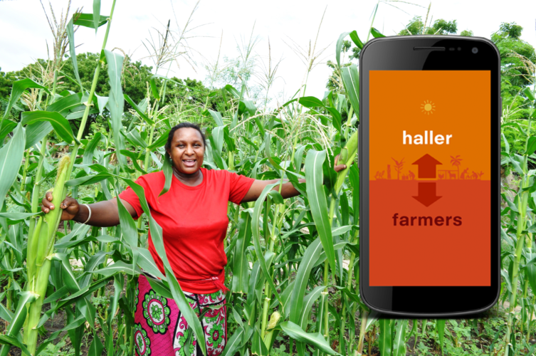 Haller Farmers app: Sharing local agricultural information with farmers