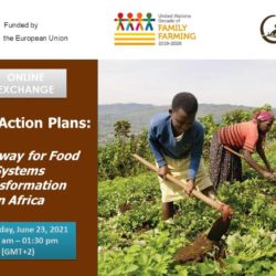 Exchange meeting: "UNDFF Action Plans: a pathway for food systems transformation in Africa"