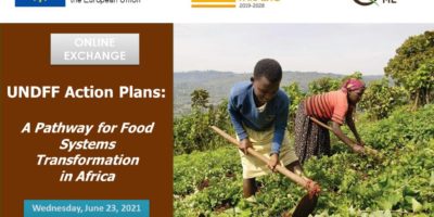 Exchange meeting: “UNDFF Action Plans: a pathway for food systems transformation in Africa” Exchange meeting: “UNDFF Action Plans: a pathway for food systems transformation in Africa”