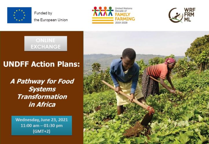 Exchange meeting: "UNDFF Action Plans: a pathway for food systems transformation in Africa"