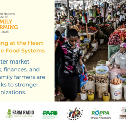 Event: July 21 - Family Farming at the heart of Sustainable food systems in Africa