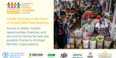 Event: July 21 – Family Farming at the heart of Sustainable food systems in Africa Event: July 21 – Family Farming at the heart of Sustainable food systems in Africa
