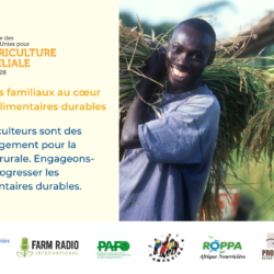 Evenement: 21 juillet - L'agriculture familiale au cœur des systèmes alimentaires durables en Afrique