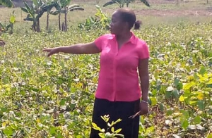 How rural radio has improved farming for Tanzanian farmers