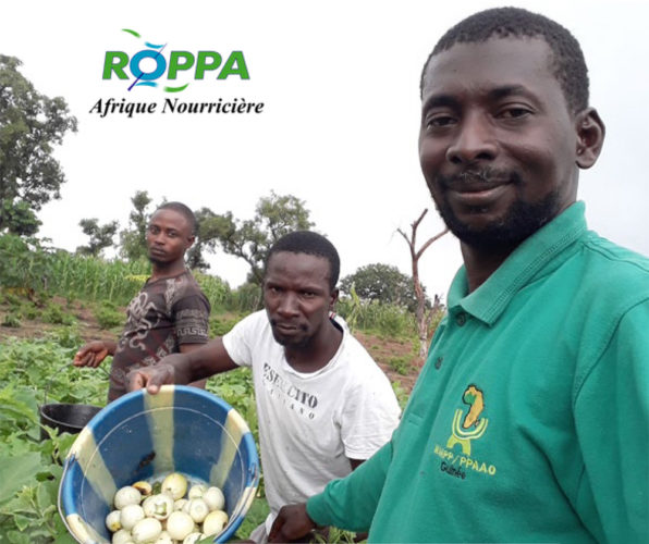 West African rural youth's views on family farming