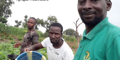 Réconcilier les jeunes ruraux avec l’exploitation familiale et libérer leur potentiel, en Afrique de l’Ouest Réconcilier les jeunes ruraux avec l’exploitation familiale et libérer leur potentiel, en Afrique de l’Ouest