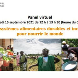 Panel virtuel : Des systèmes alimentaires durables et inclusifs pour nourrir le monde (15 sept)
