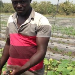 Farming pays – Graduate Farmer tells the youth
