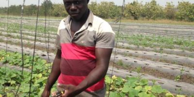 Farming pays – Graduate Farmer tells the youth