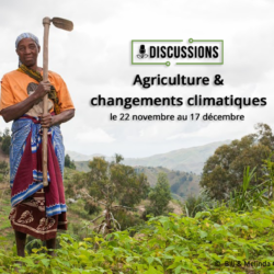 Agriculture et changement climatique : Des radiodiffuseurs et radiodiffuseuses discutent des mesures d'adaptation