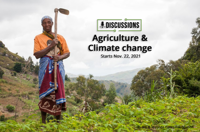Agriculture and climate change: Broadcasters discuss adaptation measures