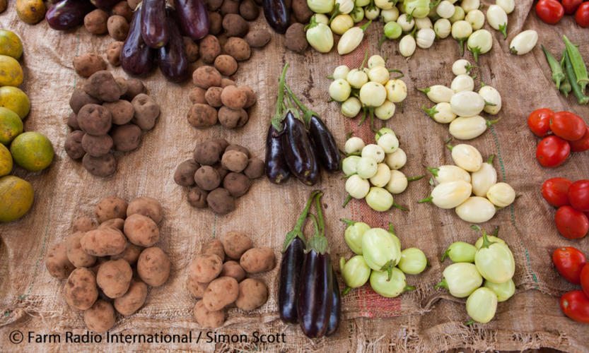 Conscience AlimenTERRE : Une campagne pour promouvoir des aliments sains issus d’une terre saine