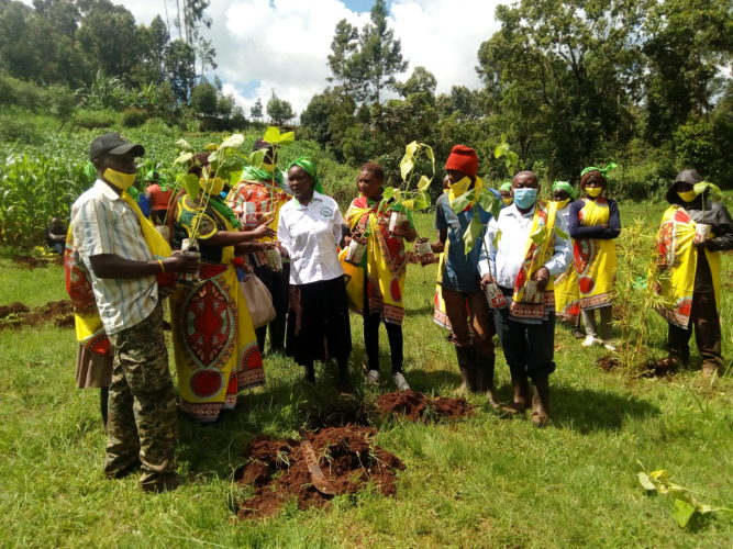 Championing Climate Action in Meru County - Kiamiriru Mpuri Environment and Conservation Group
