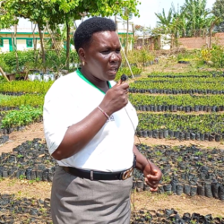 Célébrer le leadership des femmes dans le secteur de la foresterie paysanne : Étude de cas du Mt. Elgon et du comté de Meru, au Kenya