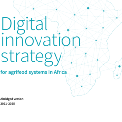 Digital innovation strategy for agrifood systems in Africa