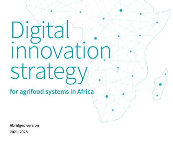 Digital innovation strategy for agrifood systems in Africa