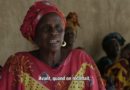 Success stories of Teaser farmers’ in Senegal