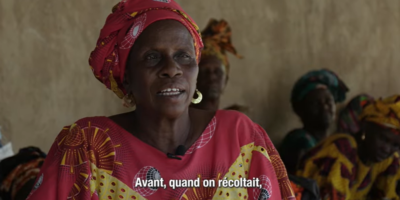 Réussite des paysannes « Teaser » au Sénégal