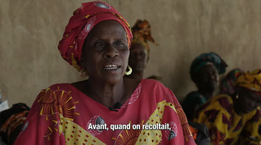 Réussite des paysannes "Teaser" au Sénégal