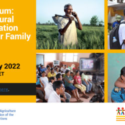 SAVE THE DATE! 11 July 2022 – UNDFF Forum on Inclusive Rural Communication Services for Family Farming