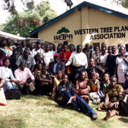 Le plan ambitieux de l'association des planteurs d'arbres de l'Ouest pour la foresterie commerciale commence par le recensement des arbres dans les fermes