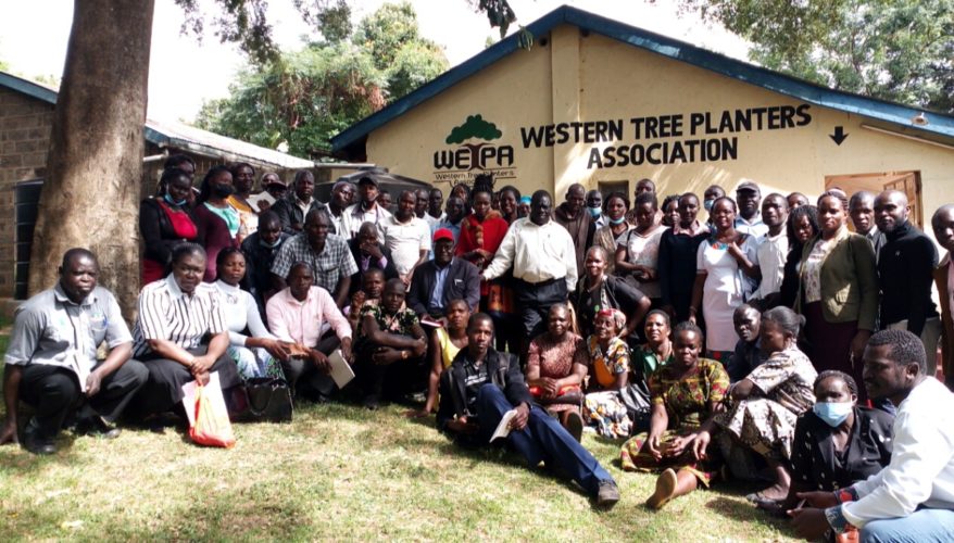 Western tree planters association's ambitious plan for commercial forestry begins with trees on farm census