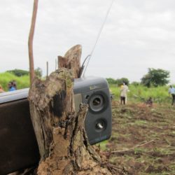 Radios Rurales Internationales et d'autres intervenants marquent le Sommet d'agriculture familiale d'Afrique 2022