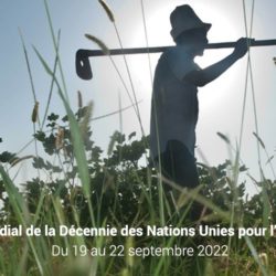 Premier Forum mondial de la DNUAF pour mettre en lumière les résultats, les expériences et les défis de l'agriculture familiale, 19 - 22 septembre 2022