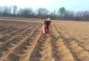Sisonke Working Together Trust Bulawayo Zimbabwe helps women farmers learn climate adaptation techniques