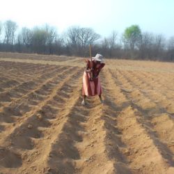 "Sisonke Working Together Trust Bulawayo Zimbabwe" aide les agricultrices à apprendre les techniques d'adaptation au climat